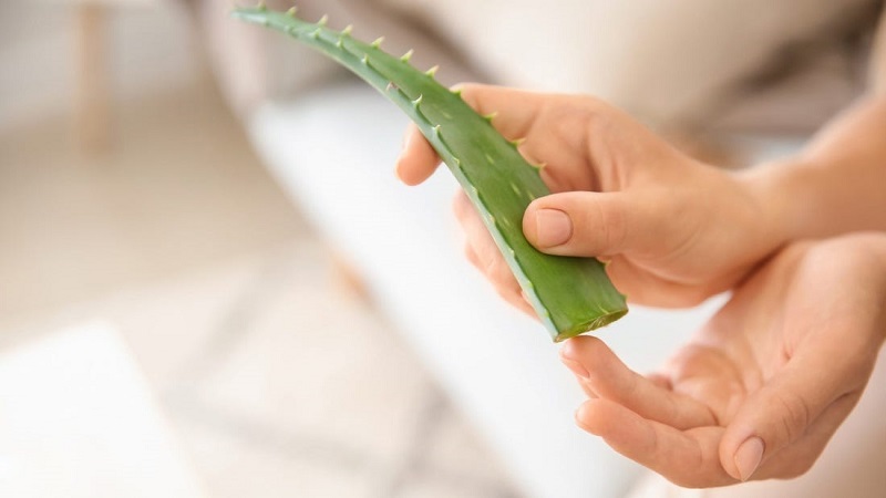 Điểm danh những sai lầm trong việc chữa da cháy nắng khiến da bị tổn thương