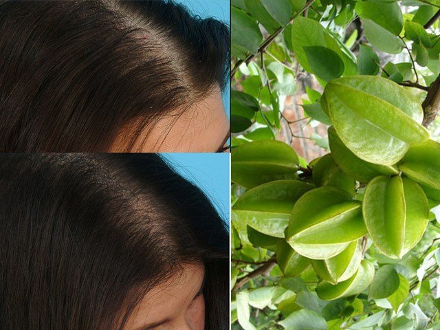 Bật mí 5 mẹo dân gian giúp tóc giảm gãy rụng, chắc khỏe, lại an toàn không hóa chất