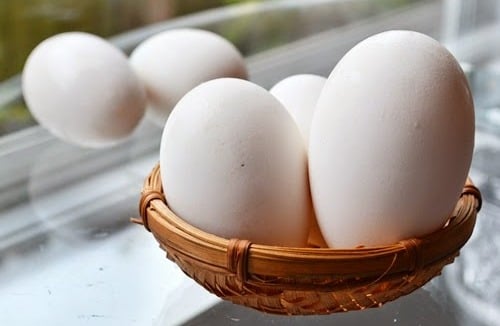  Vì sao trứng ngỗng khó ăn?