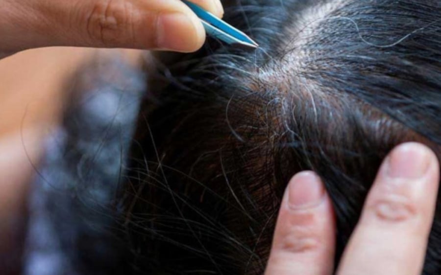 Thói quen nhổ tóc sâu gây hại như thế nào đến tóc và da đầu?